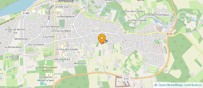 localisation de l'entreprise MADAME ANNICK DELECHENEAU  AMBOISE