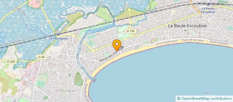 localisation de l'entreprise MADAME ANNICK GRICOURT  LA BAULE-ESCOUBLAC