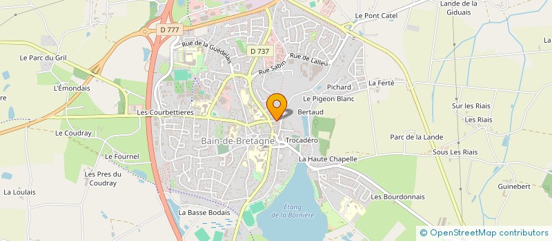 localisation de l'entreprise MADAME ANNICK LESENECHAL  BAIN-DE-BRETAGNE