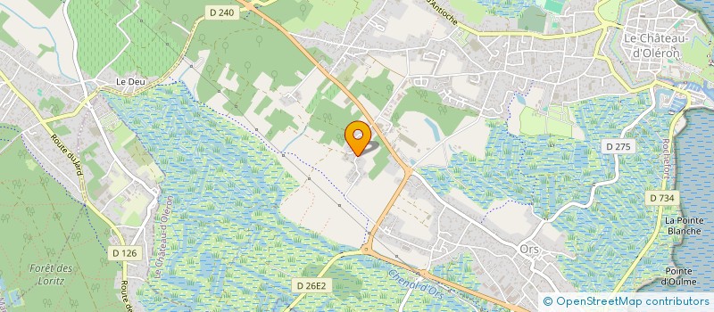 localisation de l'entreprise MADAME ANNICK LEVENEUR  LE CHATEAU-D'OLERON