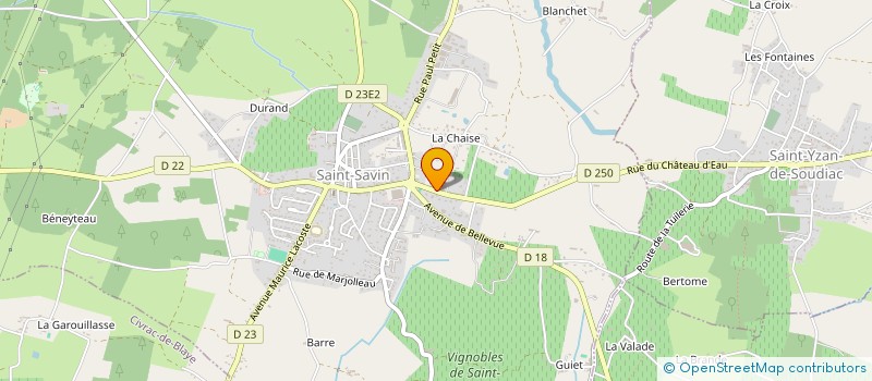 localisation de l'entreprise MADAME ANNICK ROBERGEAU-BONNET  SAINT-SAVIN