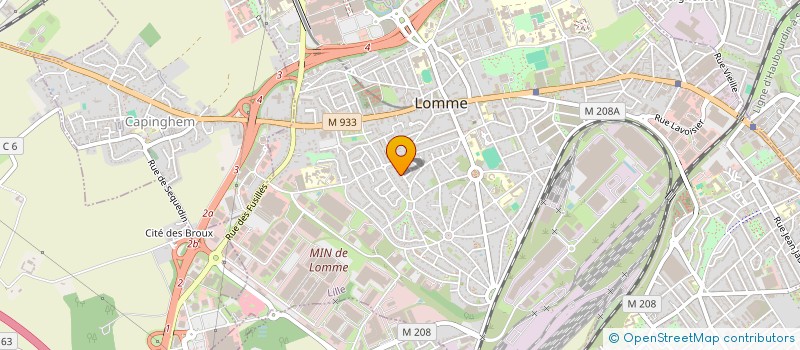 localisation de l'entreprise MADAME ANNIE BRIFFOUD à LILLE