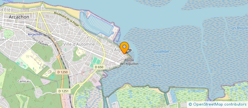 localisation de l'entreprise MADAME ANNIE DESTANQUE  ARCACHON