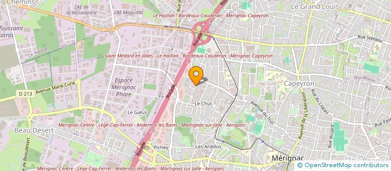 localisation de l'entreprise MADAME ANNIE DUCHEIN  MERIGNAC