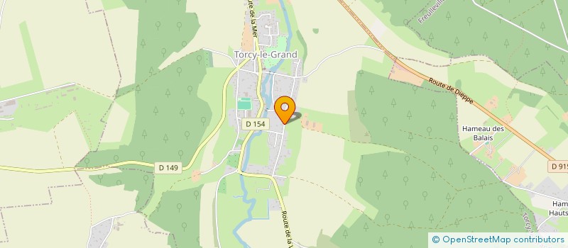 localisation de l'entreprise MADAME ANNIE-FRANCE FOLLIOT  TORCY-LE-GRAND