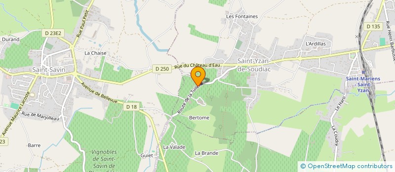 localisation de l'entreprise MADAME ANNIE LEGER  SAINT-YZAN-DE-SOUDIAC