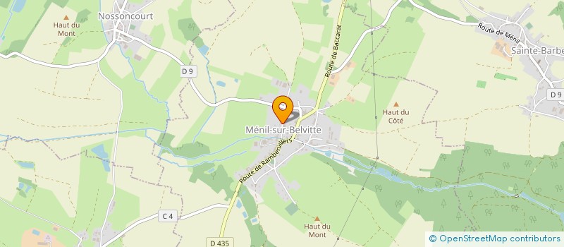 localisation de l'entreprise MADAME ANNIE MASSON  MENIL-SUR-BELVITTE