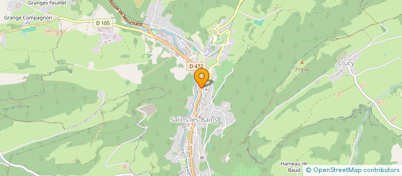 localisation de l'entreprise MADAME ANNIE MATTARELLI à SALINS-LES-BAINS