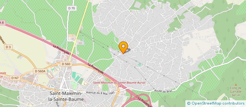 localisation de l'entreprise MADAME ANNIE ROGIER  SAINT-MAXIMIN-LA-SAINTE-BAUME