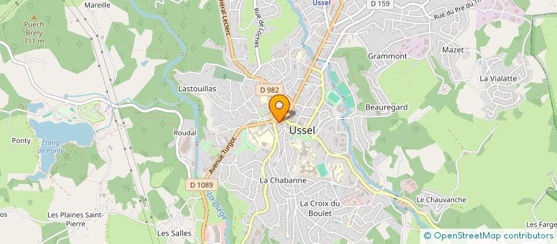 localisation de l'entreprise MADAME ANNIE VACHER à USSEL