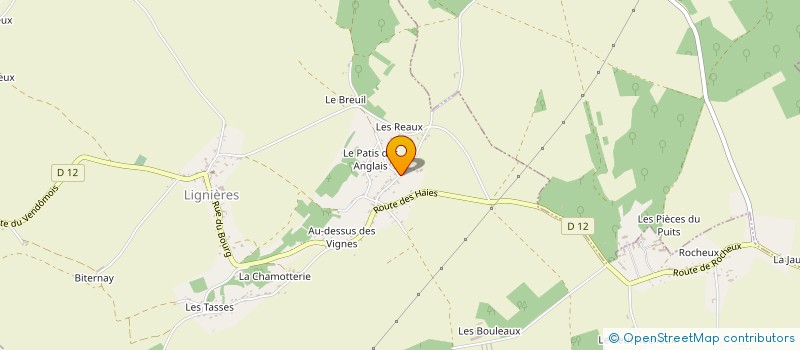 localisation de l'entreprise MADAME ANNIE VENEROSO  LIGNIERES