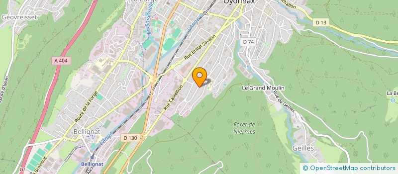 localisation de l'entreprise MADAME ANNIE VION BROUSSAILLE à OYONNAX
