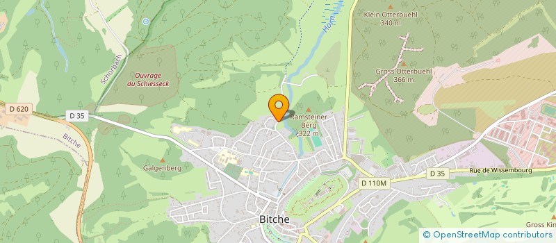 localisation de l'entreprise MADAME ANNIE WERNER  BITCHE