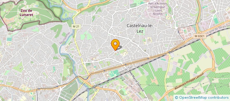 localisation de l'entreprise MADAME ANNIK RAILLARD à CASTELNAU-LE-LEZ