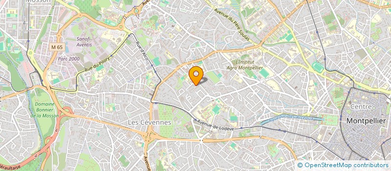 localisation de l'entreprise MADAME ANNISE MAYOUTE à MONTPELLIER