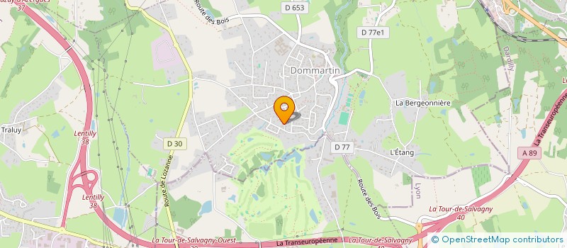 localisation de l'entreprise MADAME ANNY POUGEON  DOMMARTIN