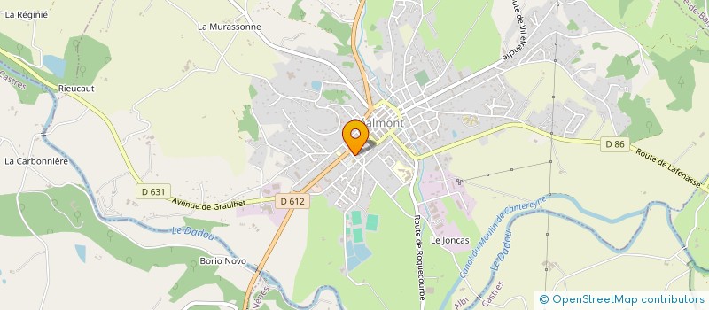 localisation de l'entreprise MADAME ANNY SOULET  REALMONT