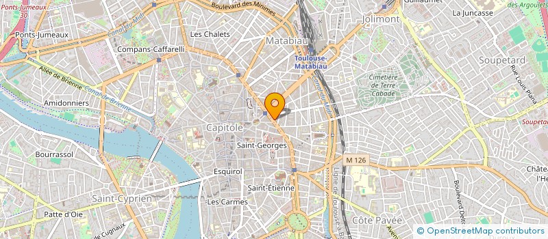 localisation de l'entreprise MADAME ANOUCHKA SEGUIN  TOULOUSE