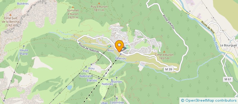 localisation de l'entreprise MADAME ANOUCK BERGONDI  SAINT-ETIENNE-DE-TINEE