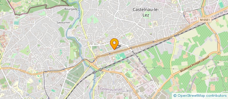 localisation de l'entreprise MADAME ANOUCK DUCROS à CASTELNAU-LE-LEZ