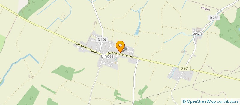 localisation de l'entreprise MADAME ANOUCK LALLEMANT  DIJON