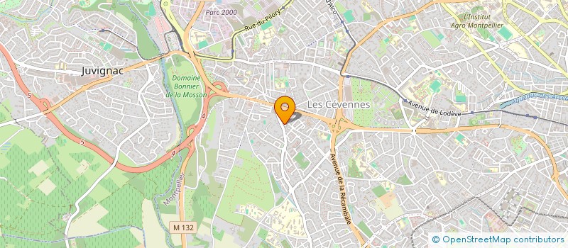 localisation de l'entreprise MADAME ANTHINEA GERARD à MONTPELLIER