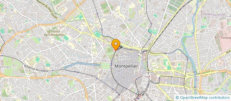 localisation de l'entreprise MADAME ANTJE KOEHLER à MONTPELLIER