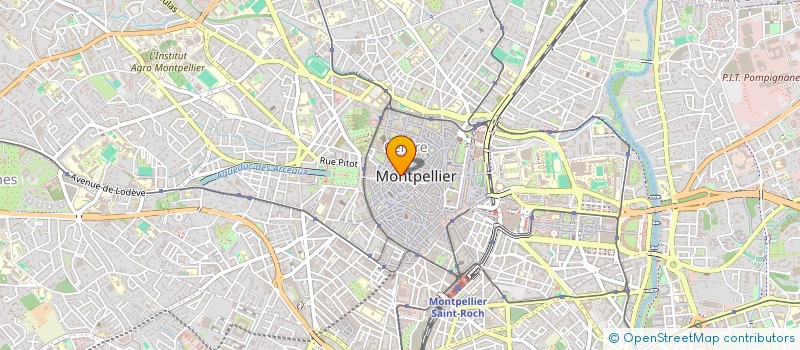 localisation de l'entreprise MADAME ANTOINETTE BERGADA à MONTPELLIER