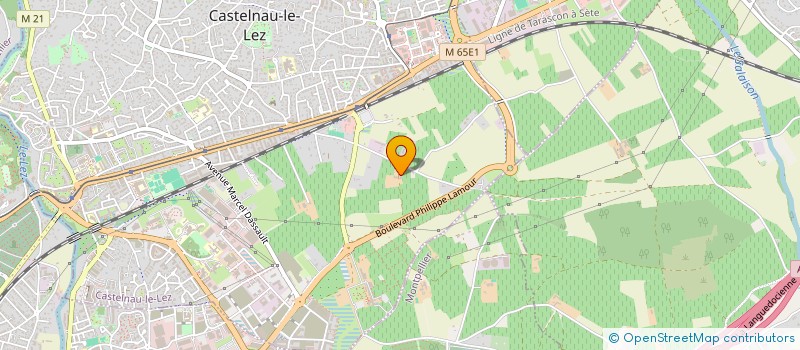 localisation de l'entreprise MADAME ANTOINETTE MOLERO à CASTELNAU-LE-LEZ