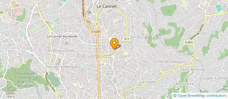localisation de l'entreprise MADAME ANZHELA HUSLYSTA à LE CANNET