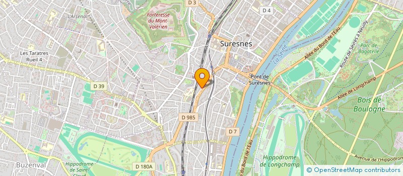 localisation de l'entreprise MADAME ANZHELIKA TSOY à SURESNES