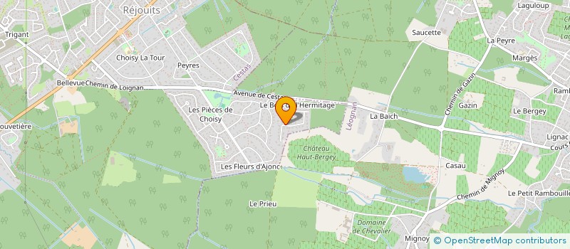 localisation de l'entreprise MADAME APOLLINE DELVA  CESTAS