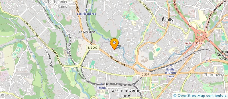 localisation de l'entreprise MADAME APOLLINE DUFOUR  TASSIN-LA-DEMI-LUNE