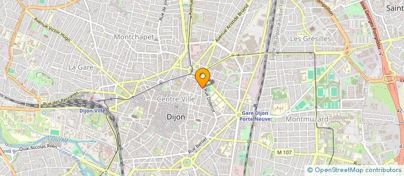 localisation de l'entreprise MADAME APOLLINE GOT  DIJON