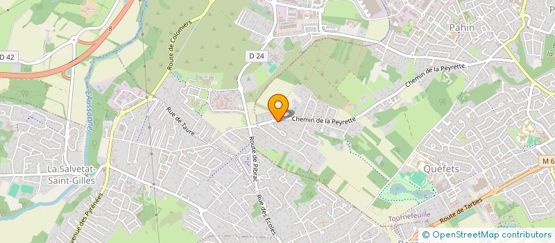 localisation de l'entreprise MADAME APOLLINE PUYOO à TOULOUSE
