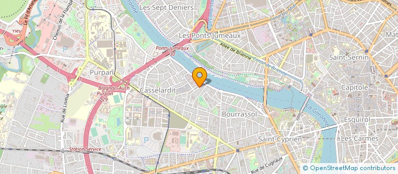 localisation de l'entreprise MADAME ARIANE BOISSON DE CHAZOURNES à TOULOUSE