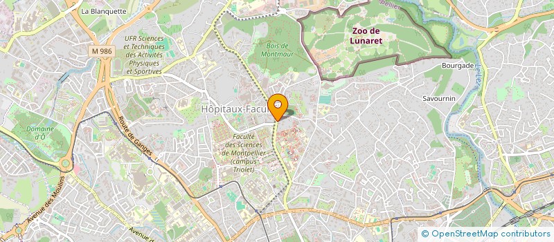 localisation de l'entreprise MADAME ARIELLE DELACHAPELLE à MONTPELLIER