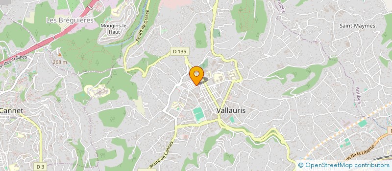 localisation de l'entreprise MADAME ARINA JIZDAN  VALLAURIS