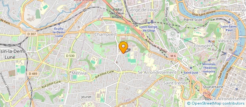localisation de l'entreprise MADAME ARLENE GISELLE ROSARIO RODRIGUEZ à LYON