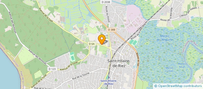 localisation de l'entreprise MADAME ARLETTE COCRIE à SAINT-HILAIRE-DE-RIEZ