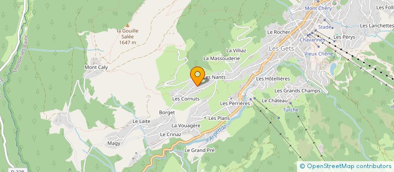 localisation de l'entreprise MADAME ARLETTE FRAYCENET à LES GETS