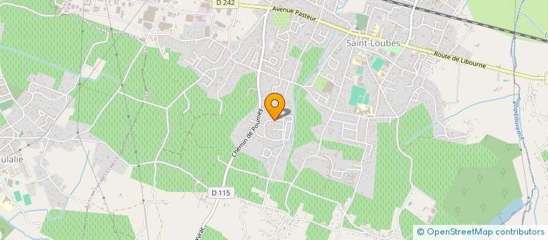 localisation de l'entreprise MADAME ARMAND NJIONGANG DETCHOUTA  SAINT-LOUBES