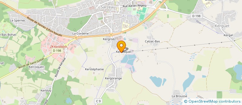 localisation de l'entreprise MADAME ARMELLE COMPERE  SARZEAU