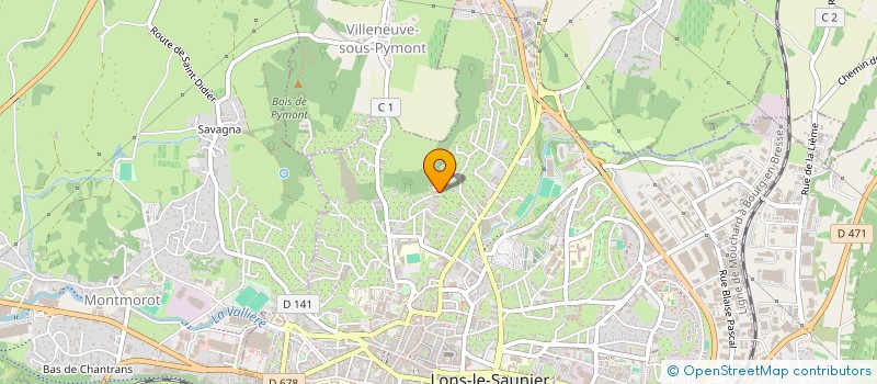 localisation de l'entreprise MADAME ARMELLE ROSAN à LONS-LE-SAUNIER