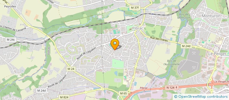 localisation de l'entreprise MADAME ARMELLE SARRE  PIBRAC