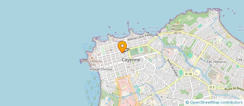 localisation de l'entreprise MADAME ARTHEMIS GILLARDOT  CAYENNE