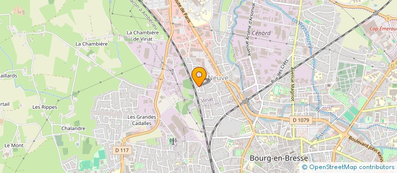 localisation de l'entreprise MADAME ARZU SAS à VIRIAT