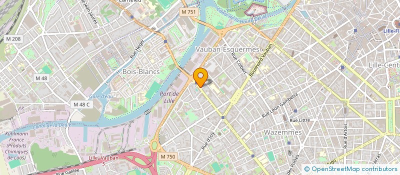 localisation de l'entreprise MADAME ASMA SELMANI à LILLE