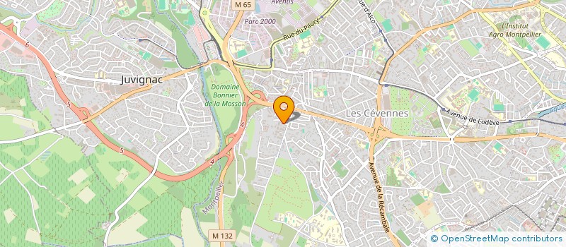 localisation de l'entreprise MADAME ASSANATI MOMANDA à MONTPELLIER