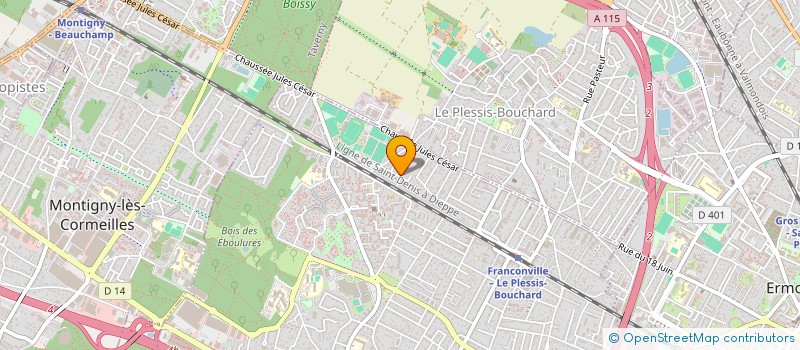 localisation de l'entreprise MADAME ASSELENE DORELUS  LE PLESSIS-BOUCHARD